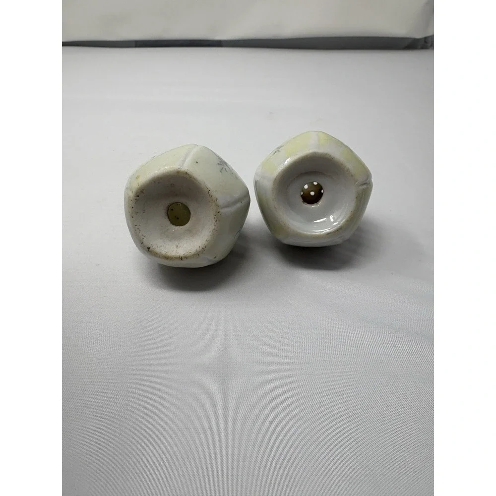 Vintage Salt & Pepper Shakers Hand Painted Floral Porcelain No Stopper Elegant